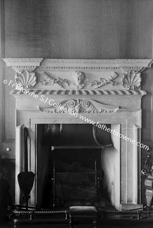 HOWTH CASTLE  FIREPLACE IN LIBRARY